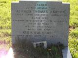 image of grave number 302756